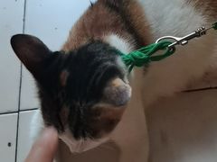 -老丘丘(较场口店)