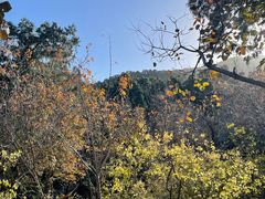-香山公园