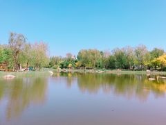 -武清南湖绿博园