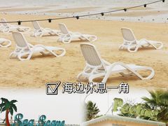 -巨鹏飞梦幻海岸