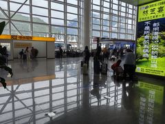 -林芝米林机场