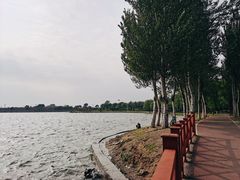 -丁香湖公园