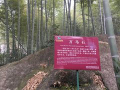 -山沟沟景区