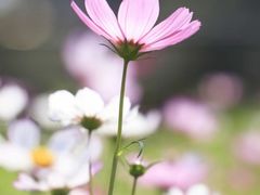 -梅州天地人花园酒店(梅县人民广场店)