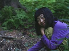 -五营红松林海景区