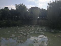 -韩湘水博园