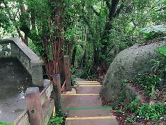 -海南铜鼓岭景区