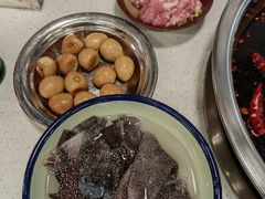 鲜毛肚-电台巷火锅(科华总店)