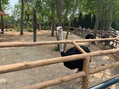 -大连森林动物园