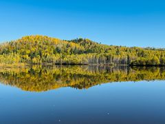 -五营红松林海景区