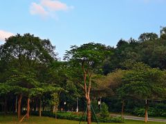 -东莞植物园