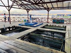 -旗鱼海番村(Orang Asli)