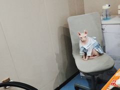 -瑞鹏宠物医院·爱宠堂·骨外专科(西荷分院)