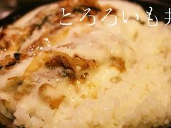-春草居酒屋·晴子の店