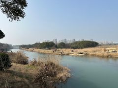 -苏州太湖湖滨国家湿地公园