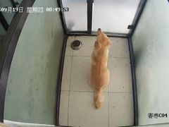 -趣玩宠物乐园寄养训犬训狗游泳池