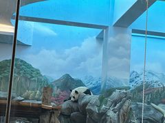 -武汉动物园