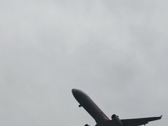 -空港花田景区