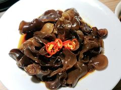 凉拌木耳-探窝·竹笙椰子鸡(杨箕店)