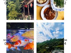 -鲤鱼塘农家山庄