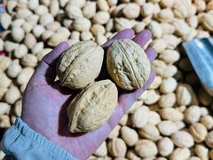 -新疆国际大巴扎