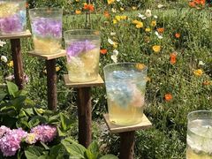 -名花谷生态庄园