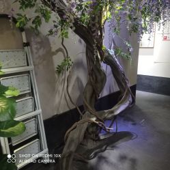 -盘子女人坊生日照·摄影馆(华强店)