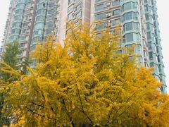 -四川大学(华西校区)