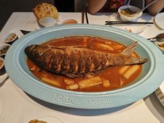 -阿五黄河大鲤鱼(英协路店)