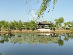 -无锡蠡湖国家湿地公园-蠡园