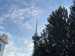 -龙塔