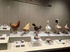 -中国农业博物馆