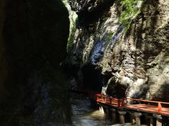 -牛背梁国家森林公园