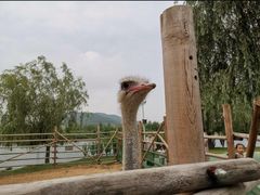 -羊亭河湿地公园