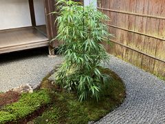 -三千院