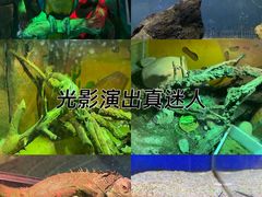 -太奥幻太奇海洋馆