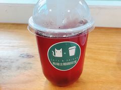 -有猫主题·治愈系猫咖(曾厝垵店)