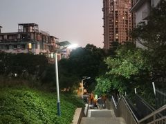 -仙岳公园