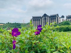 -清远熹乐谷温泉度假酒店