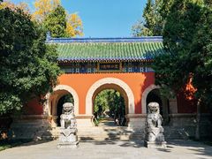 -灵谷景区