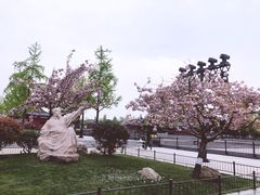 -大雁塔北广场音乐喷泉
