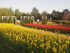 -石家庄市植物园