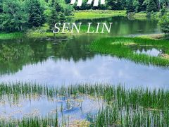 -普达措国家公园
