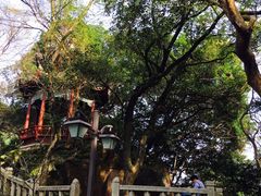 -乌山风景区