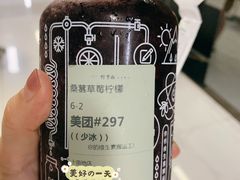 桑葚草莓柠檬-野萃山·潮汕厚果汁(十亩地店)