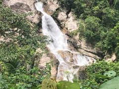 -海南热带雨林国家公园吊罗山景区