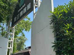 -金山农民画村-枫泾波兰倒置屋
