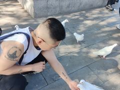 -天津妈祖文化园