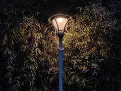 -瑶湖郊野森林公园