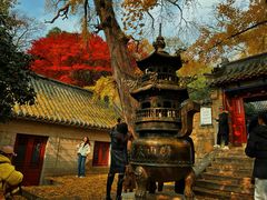 -青岛崂山太清宫